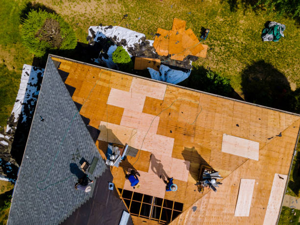 Professional Roofing Contractor in Sebastian, FL
